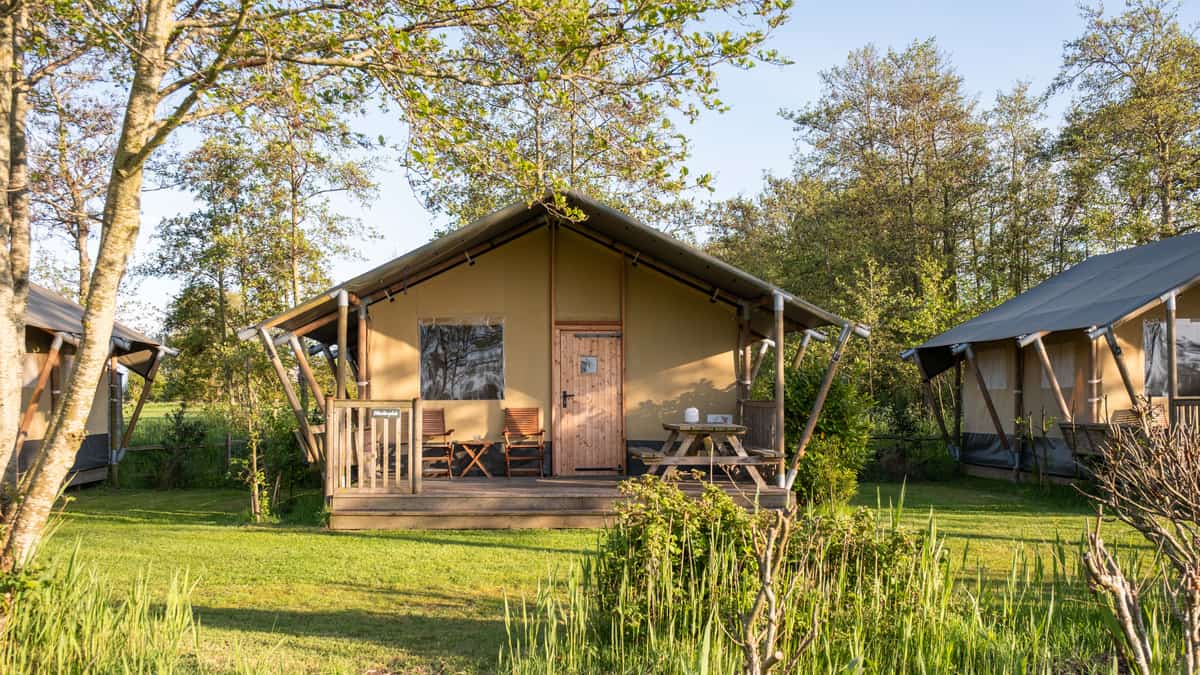 Safaritent tussen hoge grassen op Camping Cupido