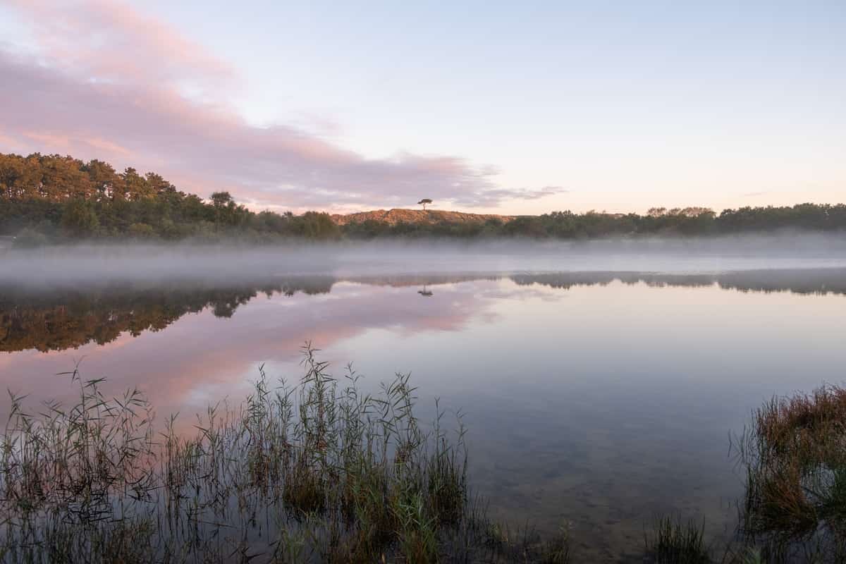 Mist boven een meer met bomen en roze wolken