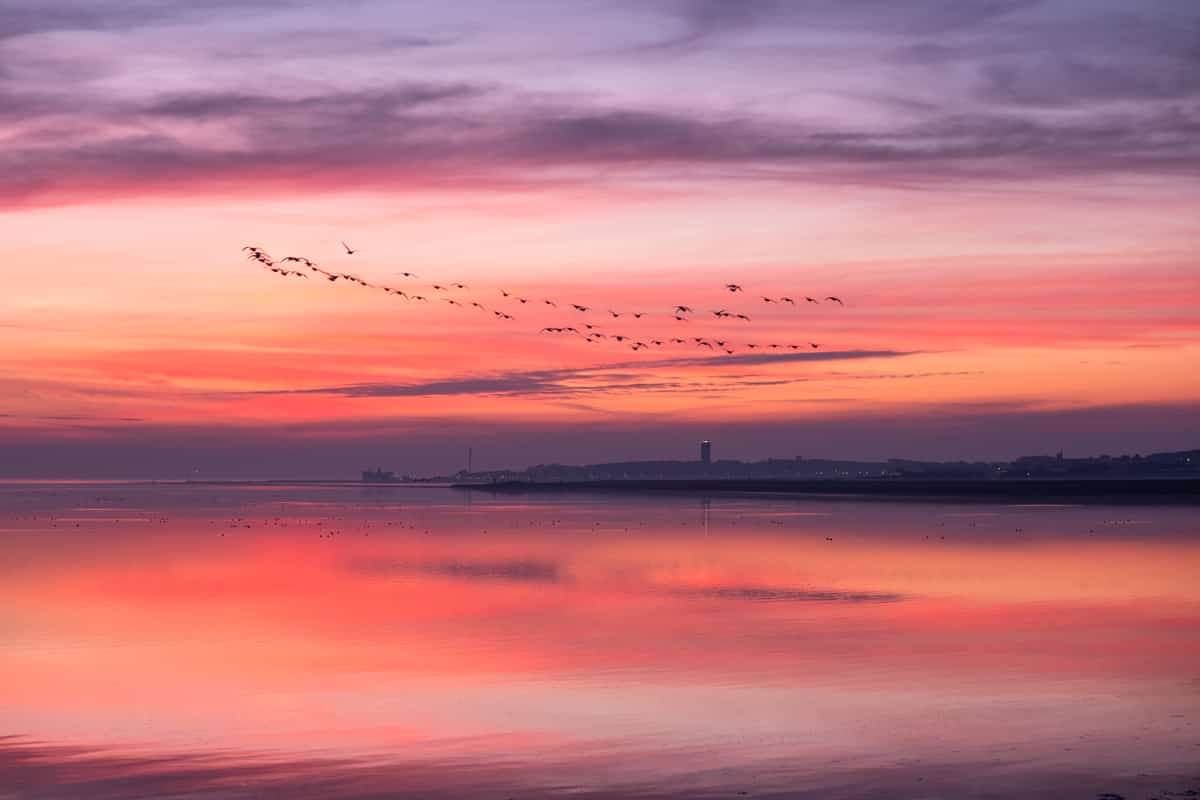 Zonsondergang boven de Waddenzee met vliegende vogels bij Terschelling