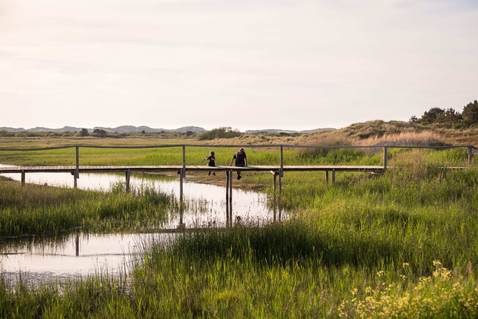 Vlonderpad door de kwelder aan de wadkant van Terschelling