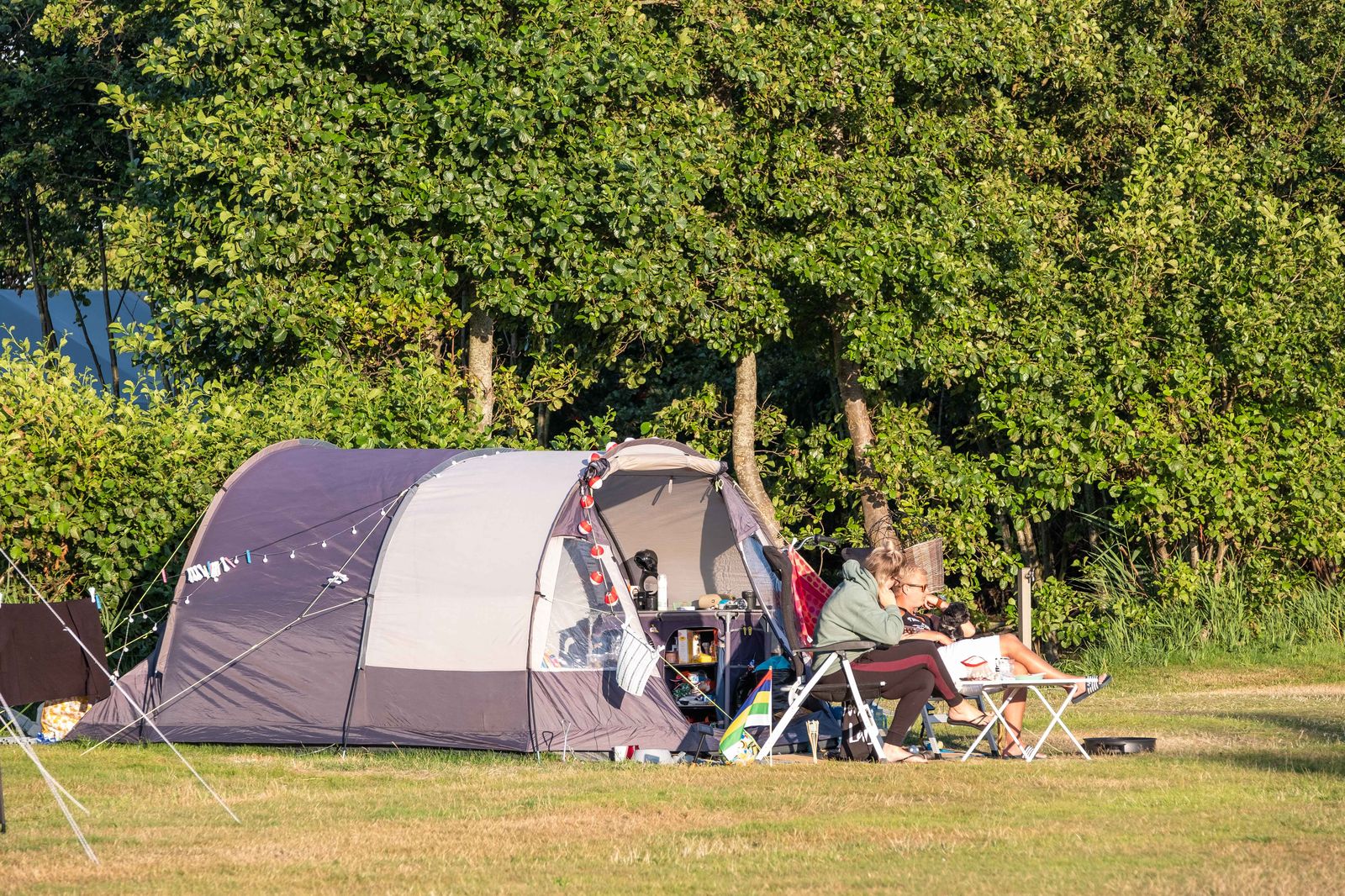 Grote tent op grasveld voor bomen, met kampeerders ernaast