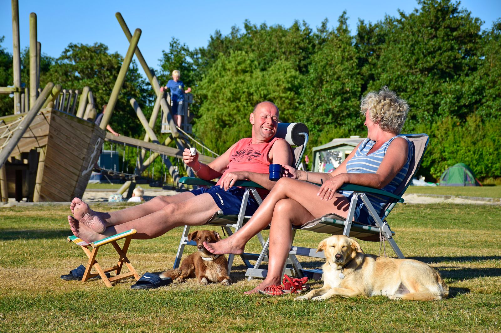 Twee mensen in ligstoelen met honden op het gras