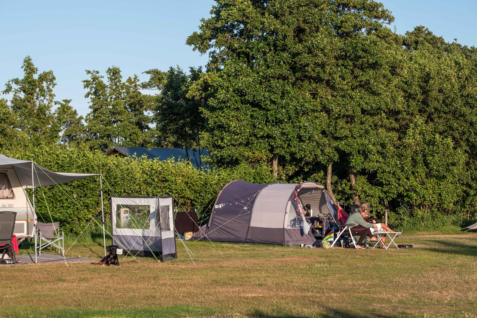 Tenten en caravan op grasveld tussen bomen, met kampeerders en hond