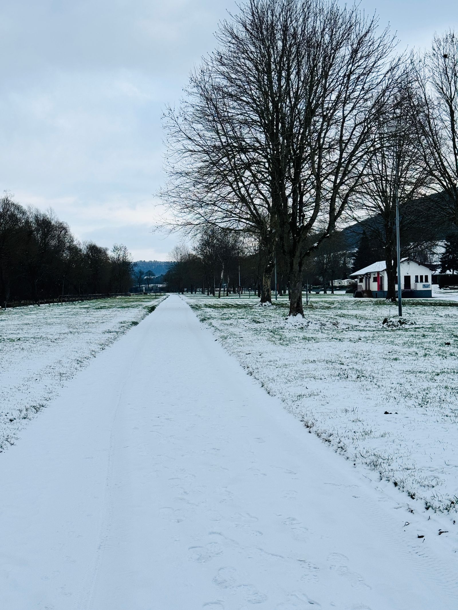 Besneeuwd pad door open landschap