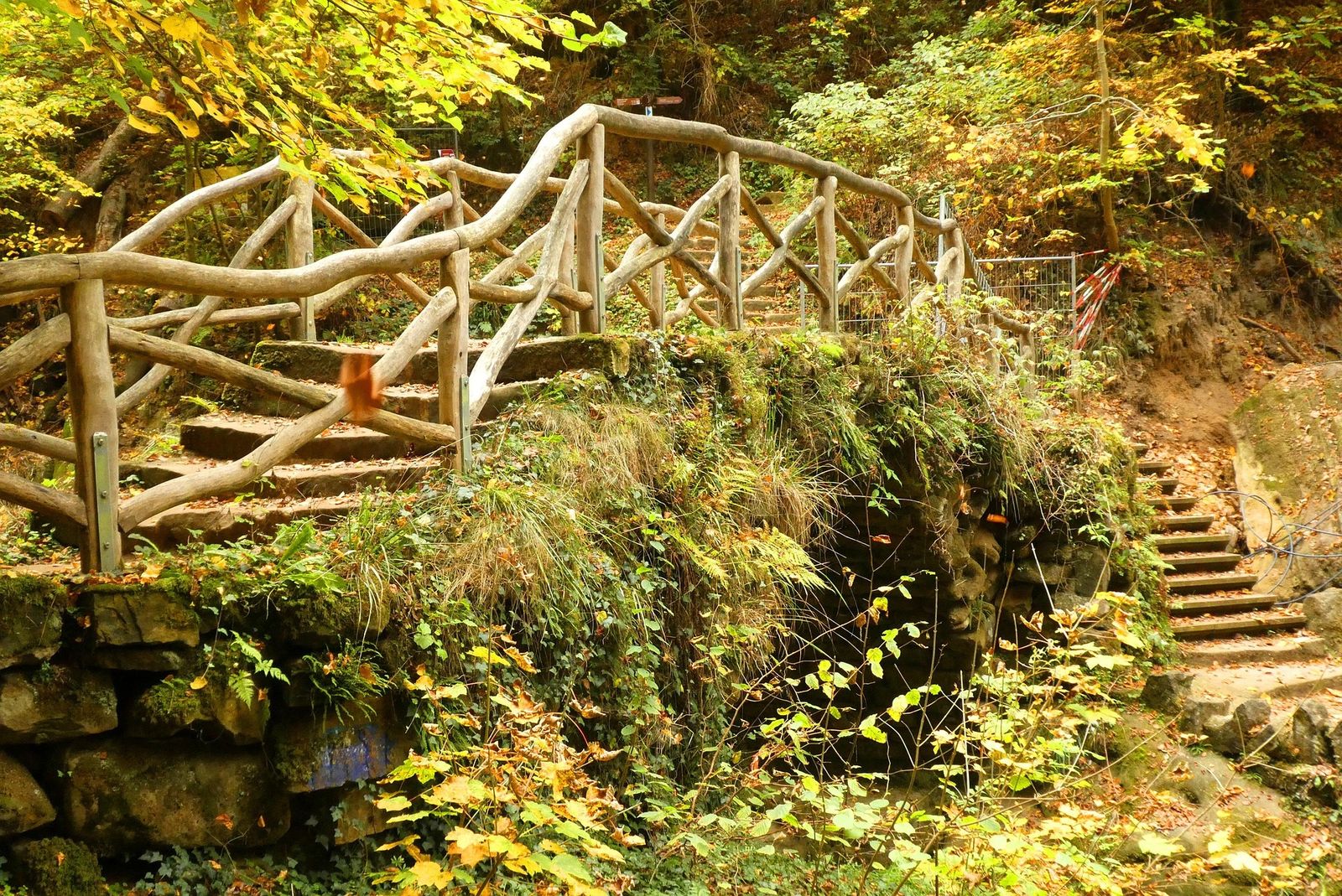 Houten brug met trap in bos