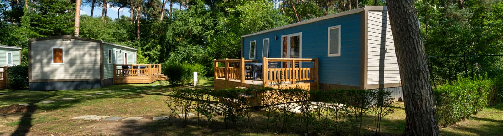 Ferienhäuser zwischen hohen Kiefern