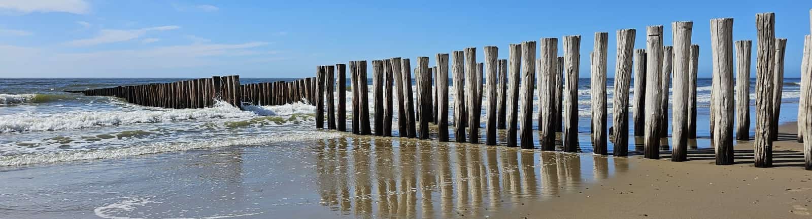 Houten strandpalen langs de branding op een zandstrand