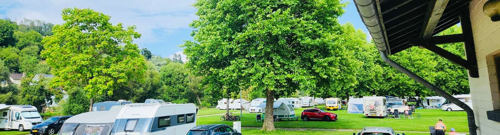 Campingveld met caravans, auto’s en grote boom