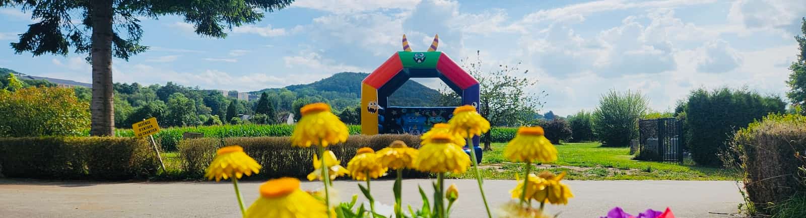 Bunte Blumen vor einem aufblasbaren Tor im Garten