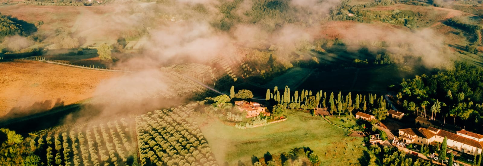 Landing image 2