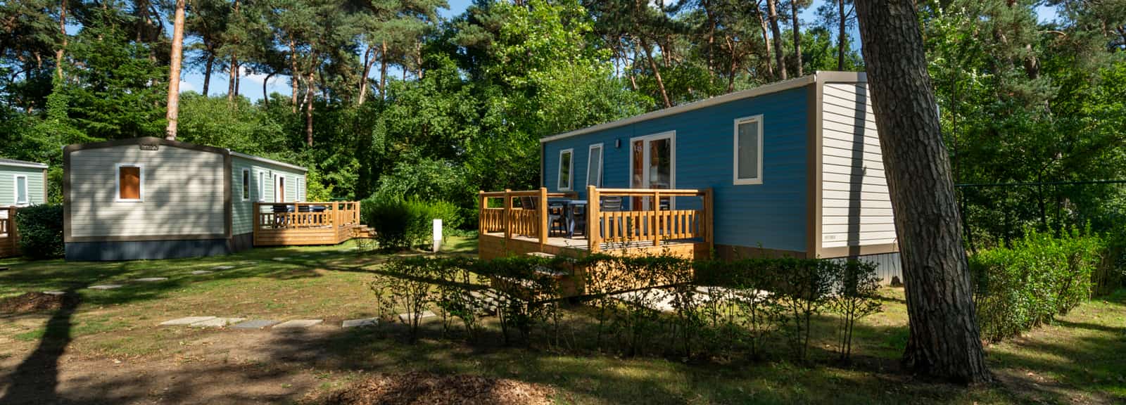 Twee vakantiehuisjes tussen hoge dennenbomen