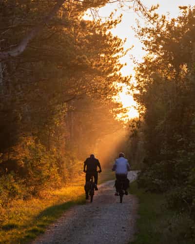 Twee fietsers op een bospad bij zonsondergang op Terschelling