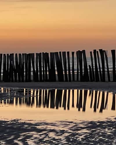 Houten strandpalen en hun weerspiegeling bij zonsondergang aan zee