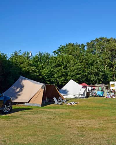 Tenten en caravans op een grasveld met bomen erachter
