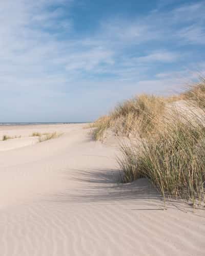 Breed Noordzeestrand met strandpaal en duinen op Terschelling