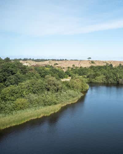 Peddelaar op rood paddleboard op meer met duinen en bomen