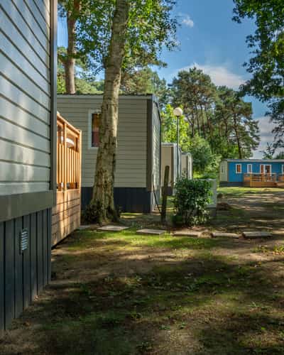 Ferienhäuser zwischen Bäumen auf einem Waldgrundstück