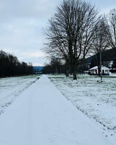 Besneeuwd pad door open landschap