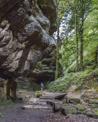 Wandelpad onder een rotswand in het bos