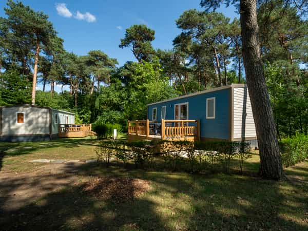 Twee vakantiehuisjes tussen hoge dennenbomen
