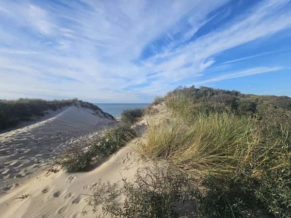 Zandpad tussen duinen met helmgras richting de zee