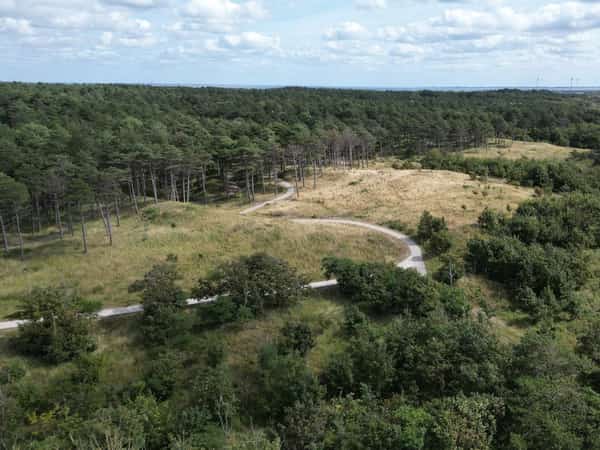 Slingerend pad door duinen en bos, met water in de verte