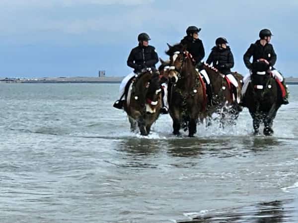 Vier ruiters rijden met hun paarden door ondiep zeewater