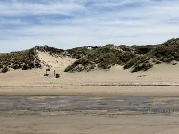 Zandstrand met begroeide duinen en nat zand op de voorgrond