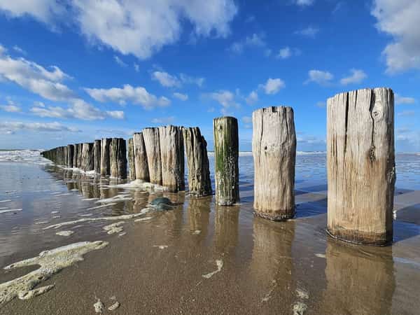 Rij houten strandpalen op nat zand langs de zee