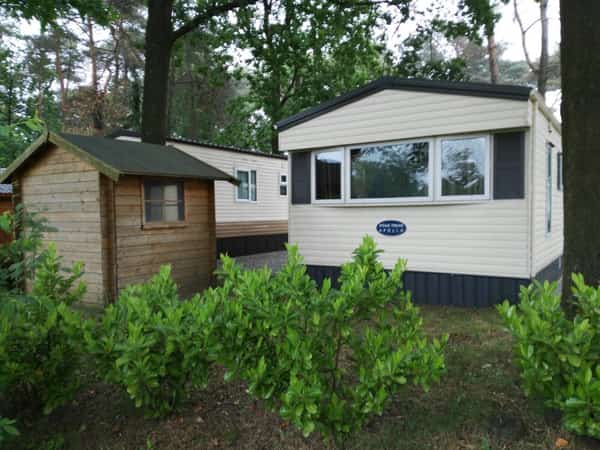 Twee vakantiewoningen tussen de bomen