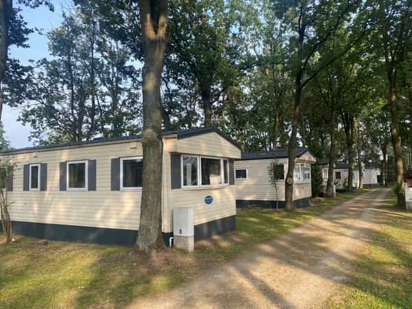 Vakantiehuisjes tussen hoge bomen langs een pad