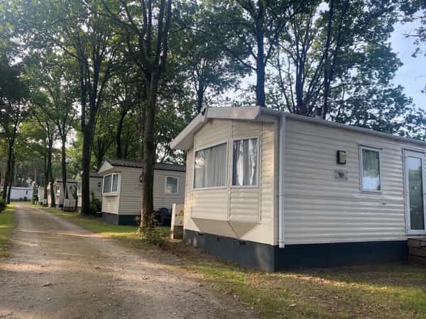 Stacaravans langs een bospad tussen hoge bomen