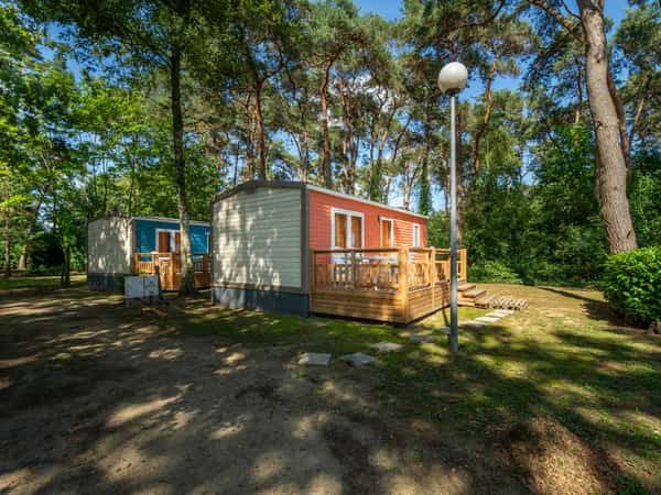 Cottages en bois dans une pinède