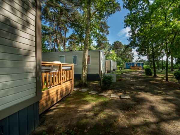 Mobil-homes dans une clairière boisée
