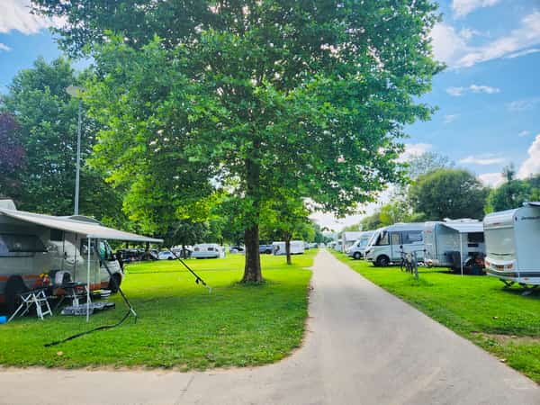 campingplatz-gruene-wiese-baumallee-6a33bc1041314.jpg