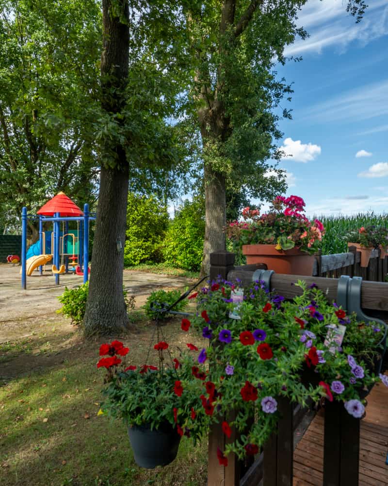 Aire de jeux avec fleurs et grand ciel bleu