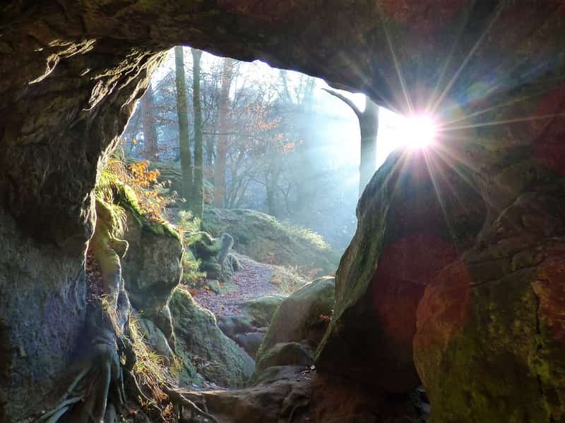 Zonlicht door een grotopening in een bos