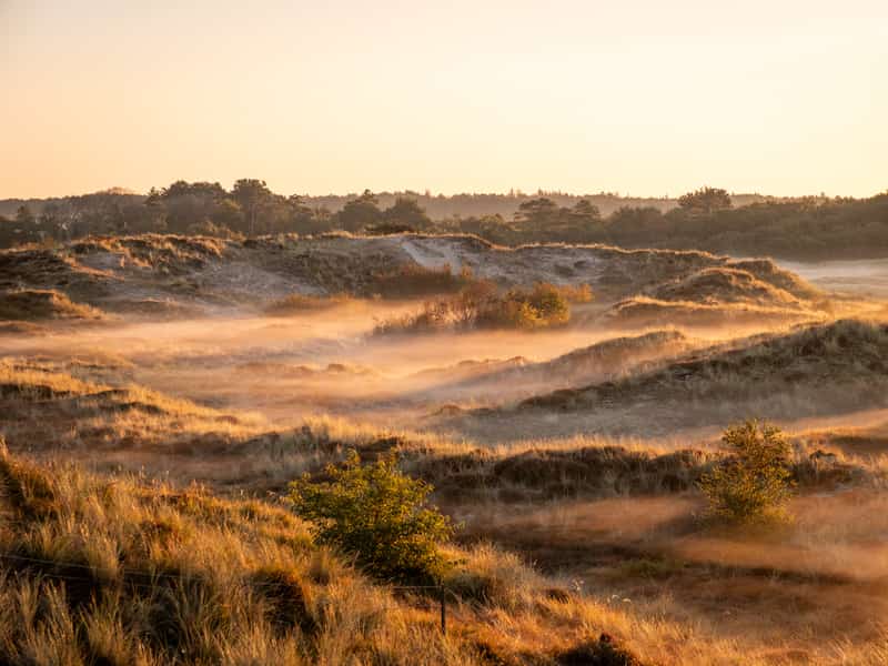 Duinen bij zonsondergang gezien vanaf uitkijkpunt Arjensduin op Terschelling