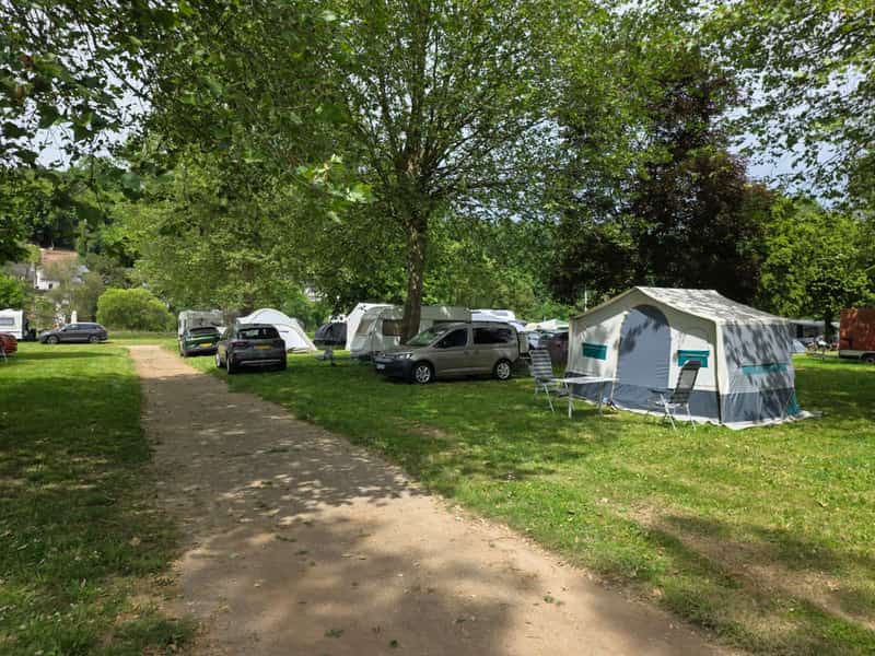 Kampeerplaatsen met tenten, auto’s en een boom op gras